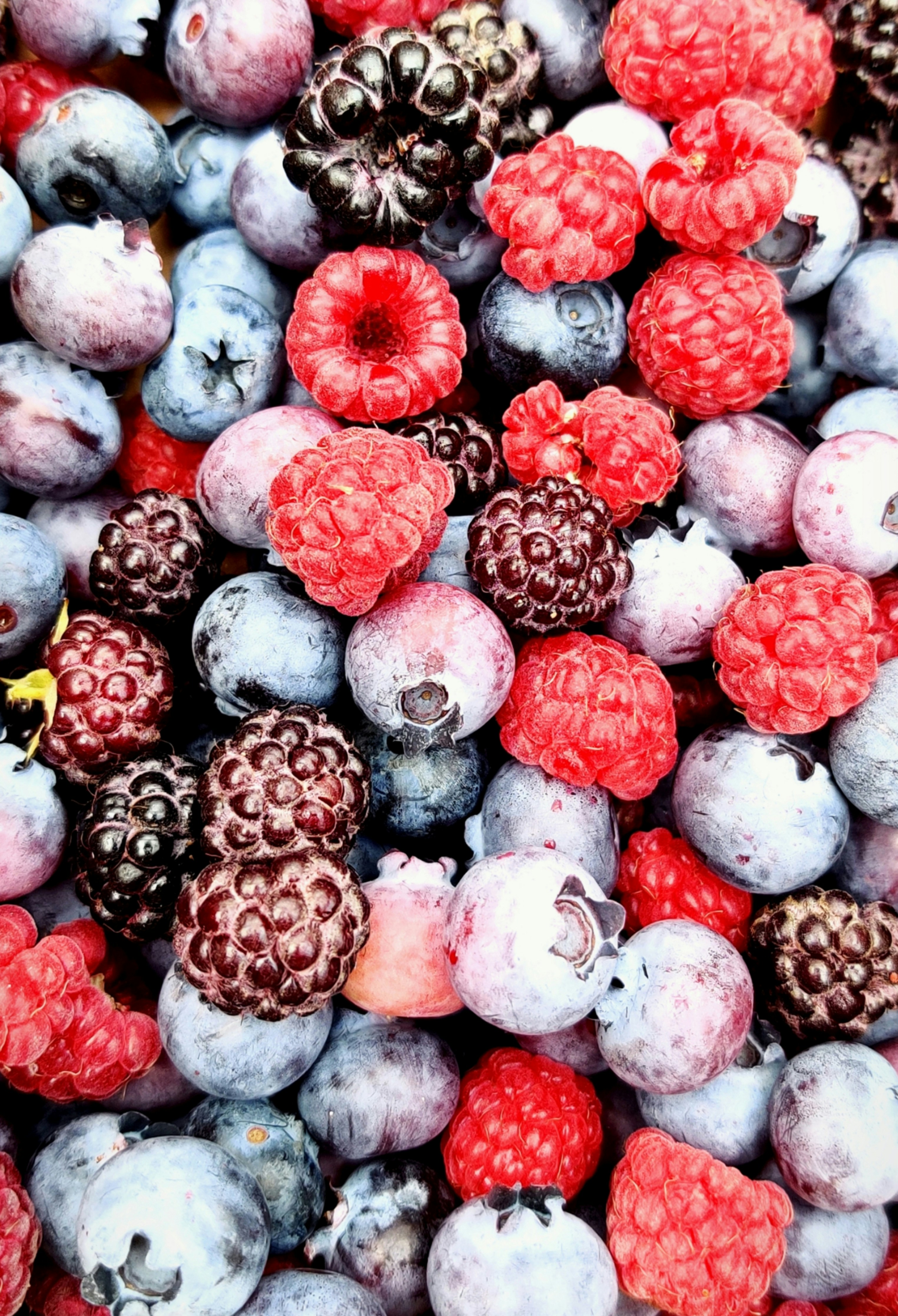 Fresh berries wholesale packaging