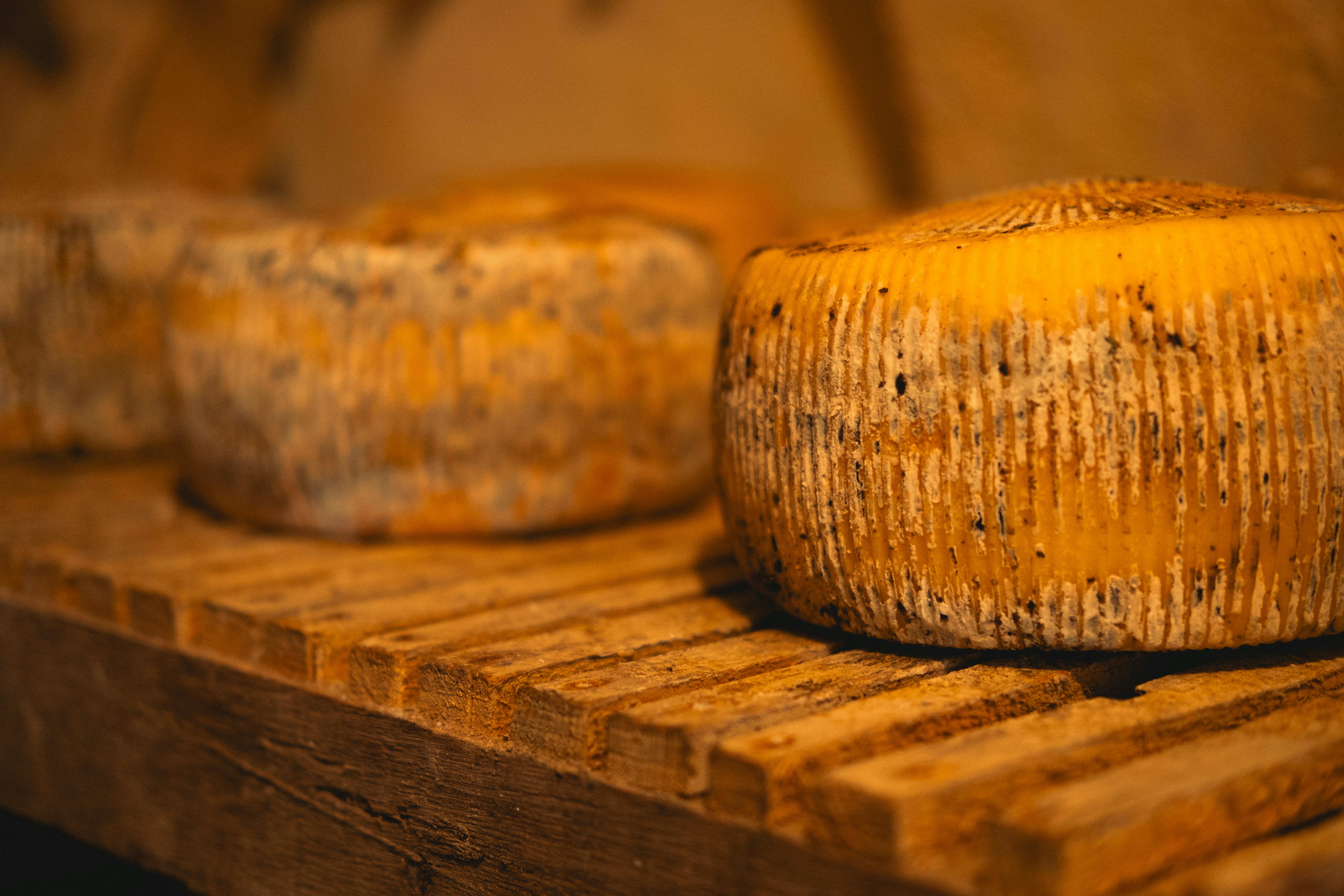 Artisanal cheese selection European producers