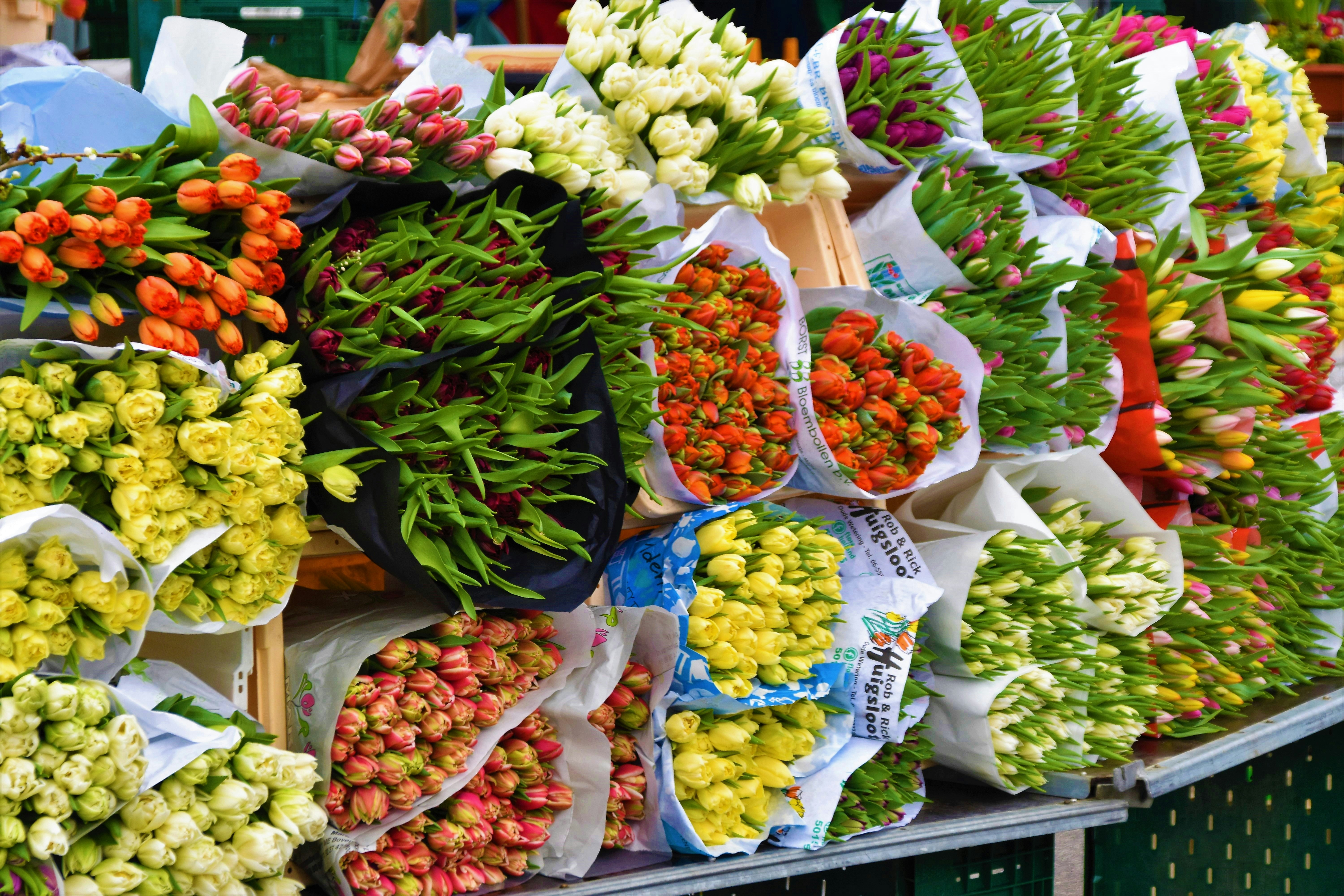 Vibrant fresh cut flowers arrangement
