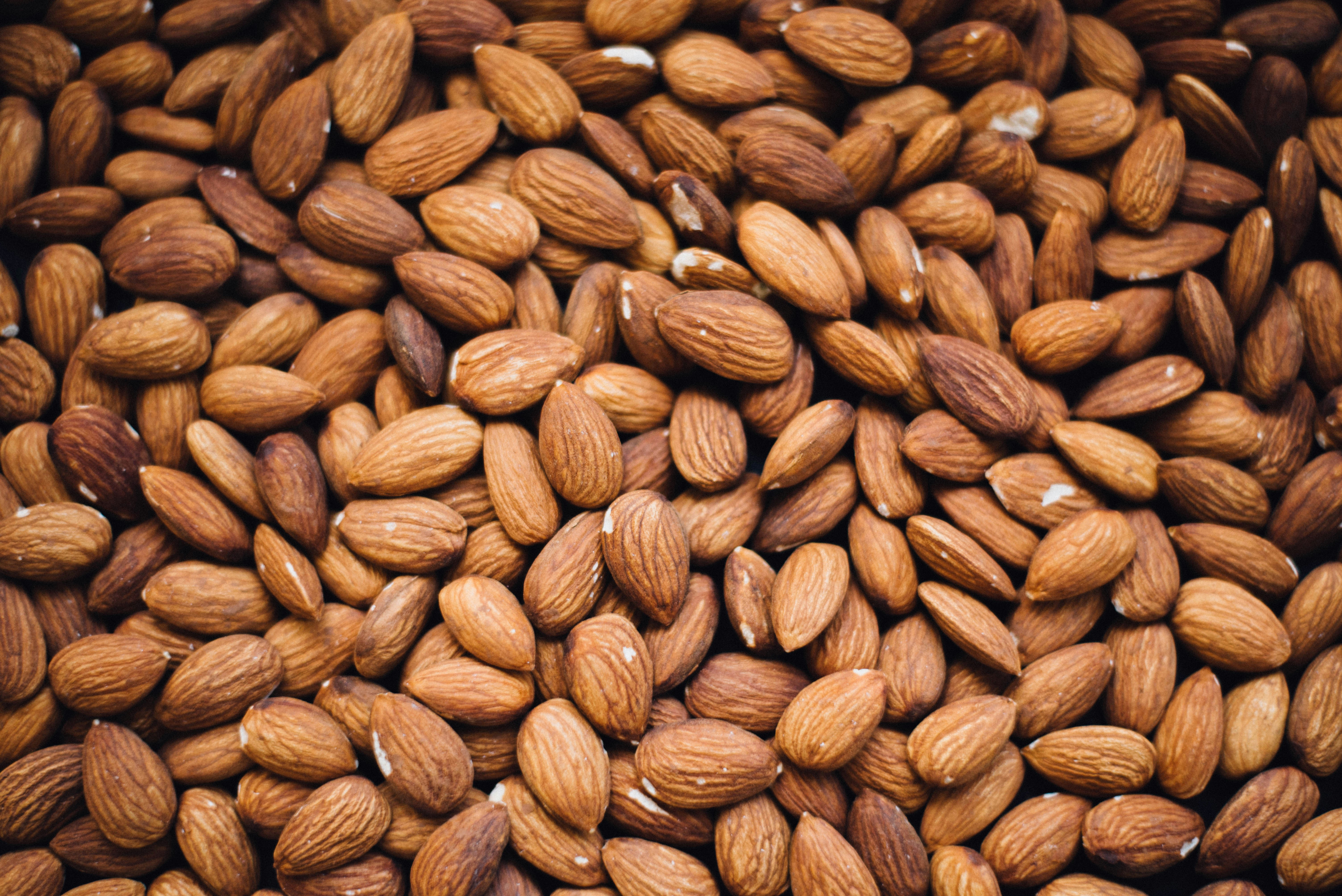 Premium mixed nuts bulk display
